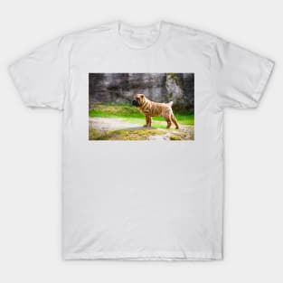 Shar Pei Puppy T-Shirt